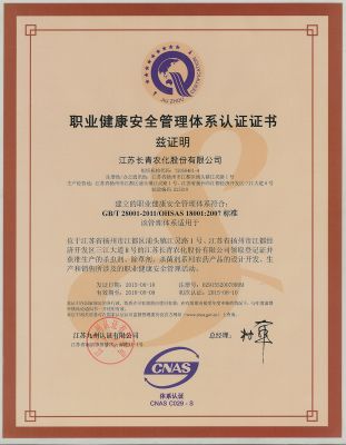 職業(yè)健康安全管理體系認證證書