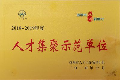 демонстрационная организация по привлечению талантов